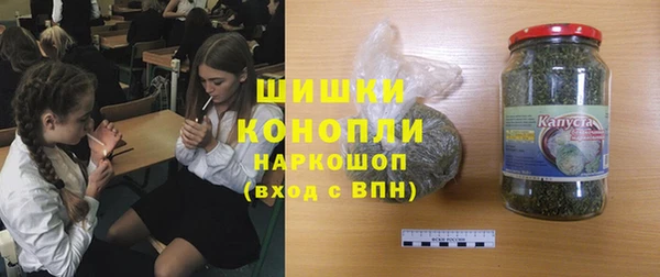 дмт Арсеньев