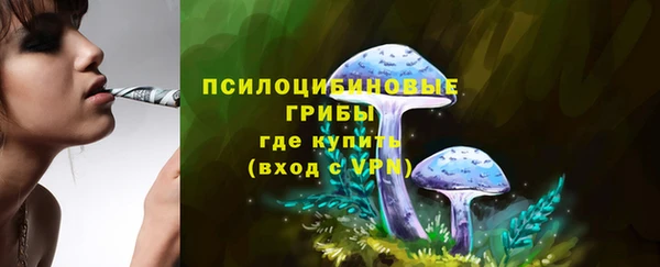 дмт Арсеньев