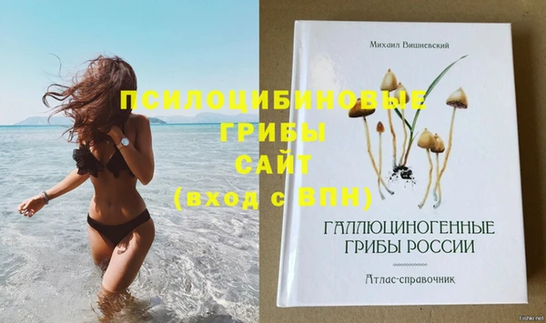 таблы Аркадак