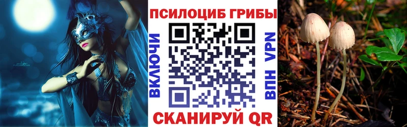Псилоцибиновые грибы Cubensis  Новотитаровская 