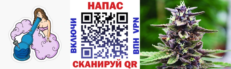 Каннабис сатива  Новотитаровская 
